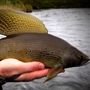 Goodnews River Alaska Float Fly Fishing Trip