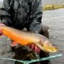 Alaska Float Fly Fishing Trip Goodnews River